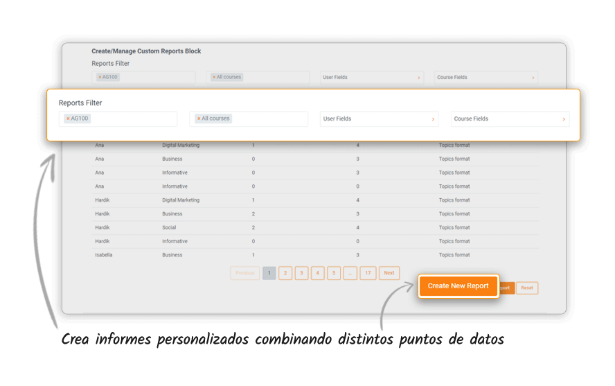 Custom Reports spanish img