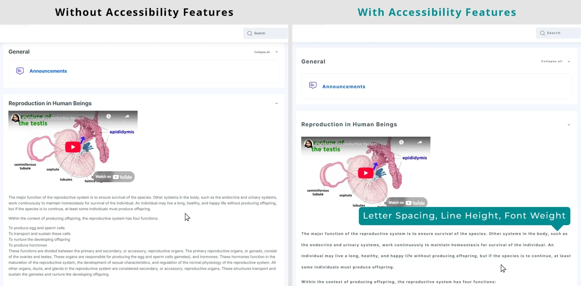 2 1 1 Moodle Accessibility Features: Letter Spacing, Line Height, Font Weight