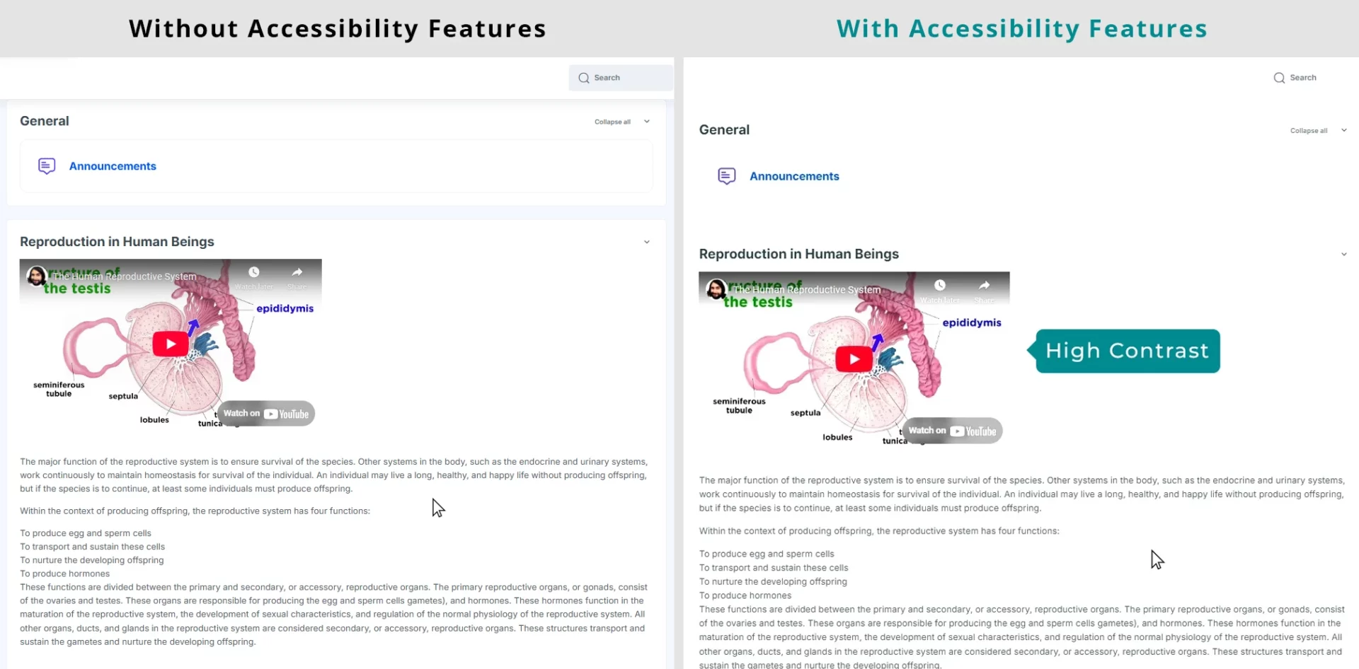3 1 Moodle Accessibility Features: High Contrast